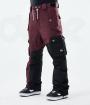 Burgundy / Black